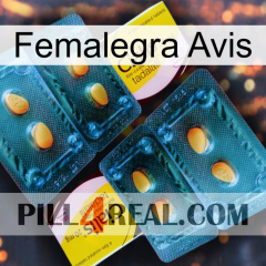 Femalegra Avis cialis5